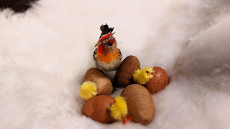 Oeufs en bois